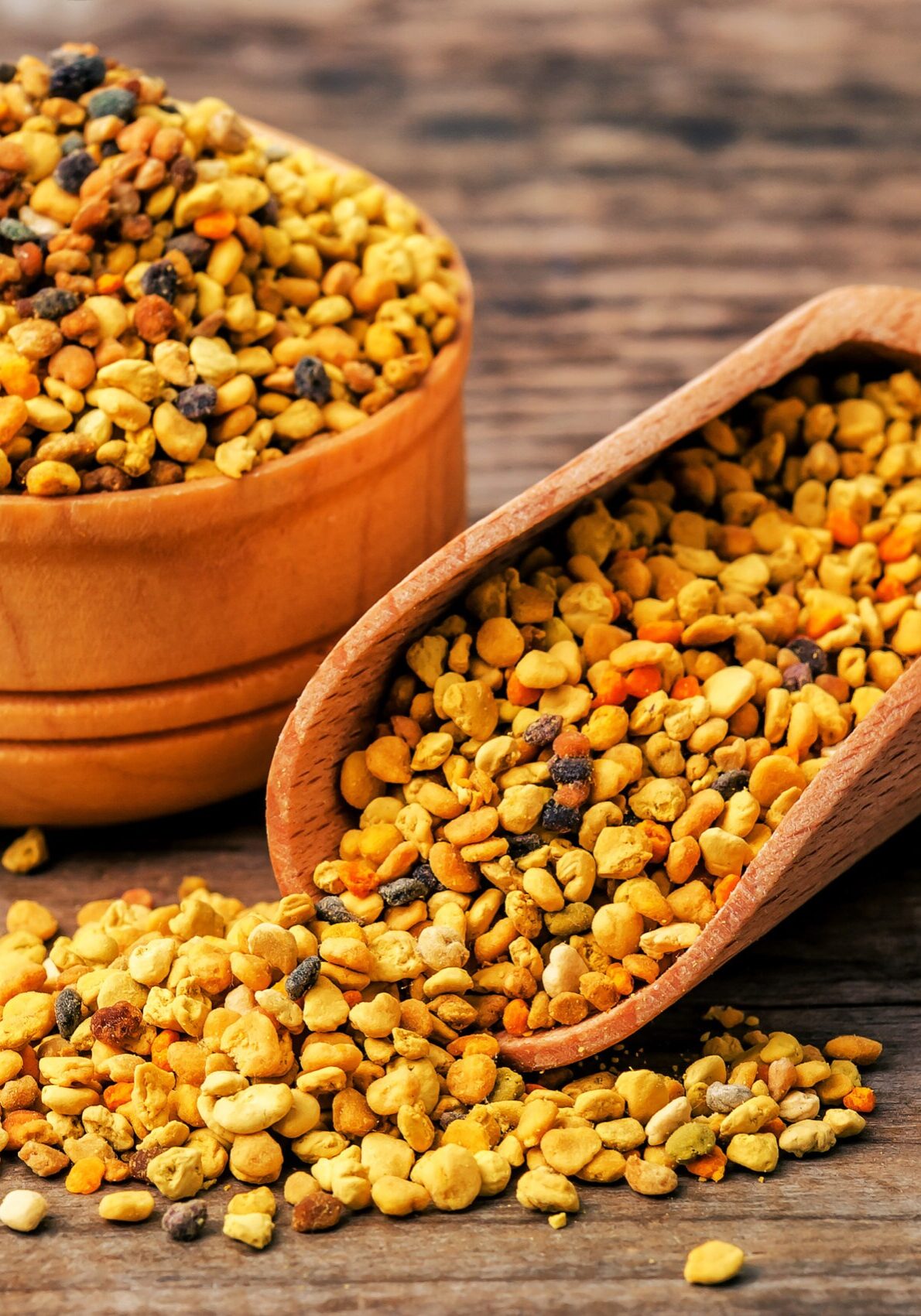 ®Volodymyr Shevchuk Adobe Stock 2025